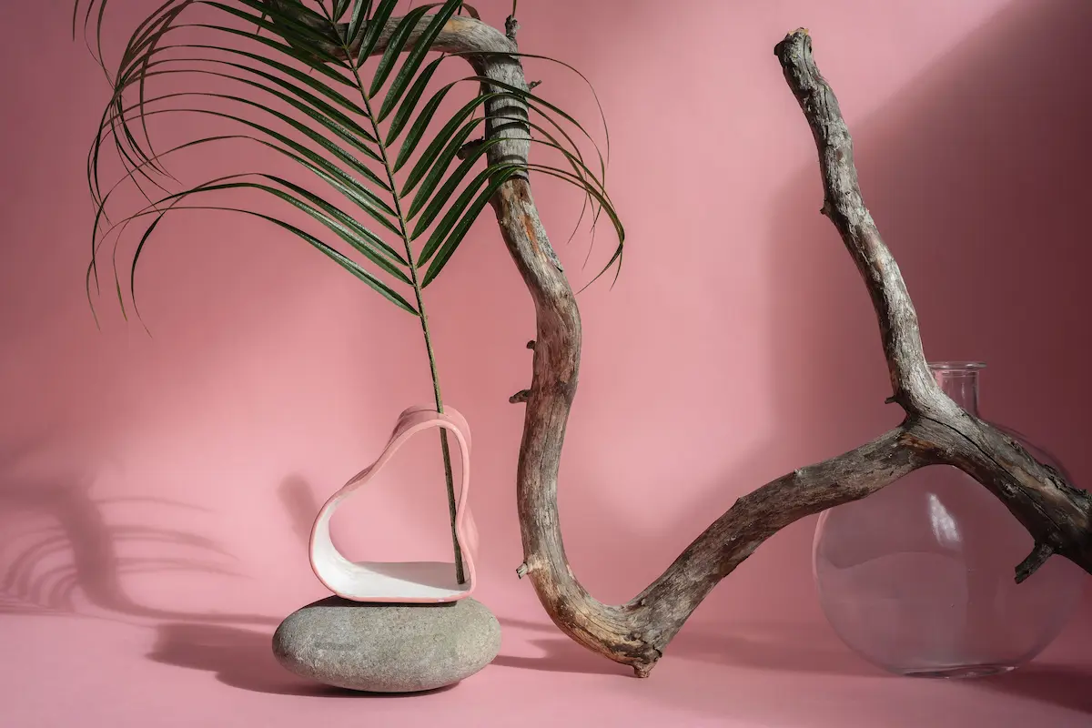Branche en bois naturel et feuille décorative illustrant un univers de bien-être, de douceur et d'harmonie.